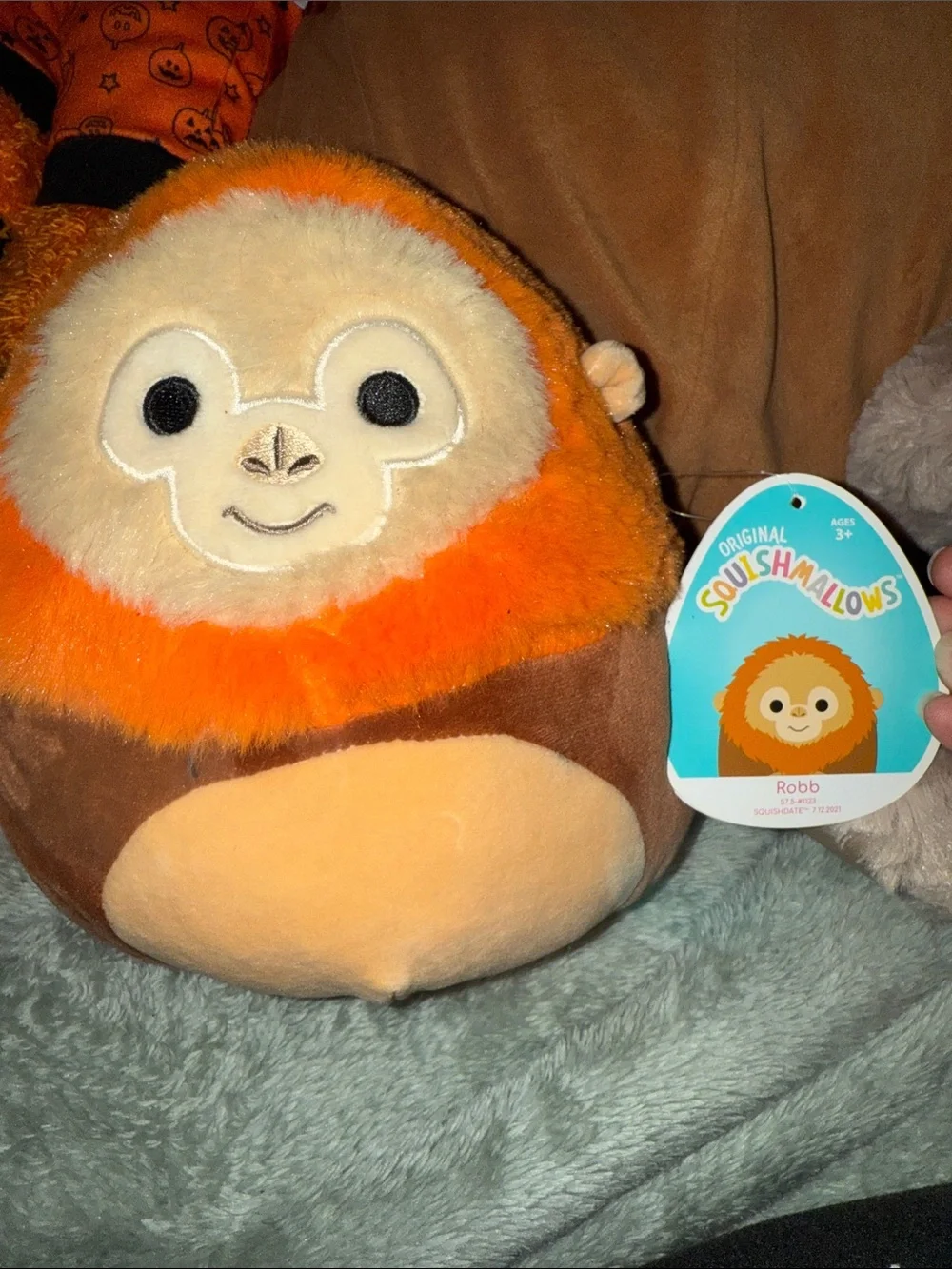 Squishmallows Robb Plush in Orange, Brown, Cream